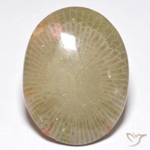 13.91ct Naturale Multicolore Corallo, Ovale, Traslucido, Photo A