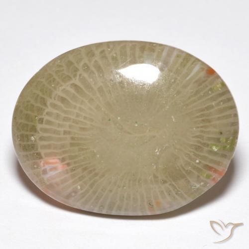 13.91 ct Multicolor Coral Stone, Natural Coral in Oval Cabochon Shape for Sale