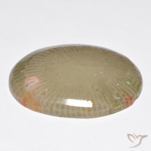Coral Gemstone in 23.3 x 17.9 mm Size for Sale, Coral Stone in Multicolor Color