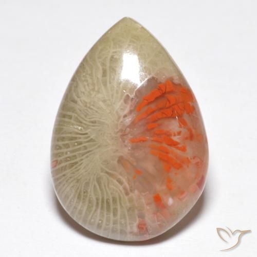 10.46 ct Pear Coral, 20.5 x 14.6 mm From Indonesia, Photo A