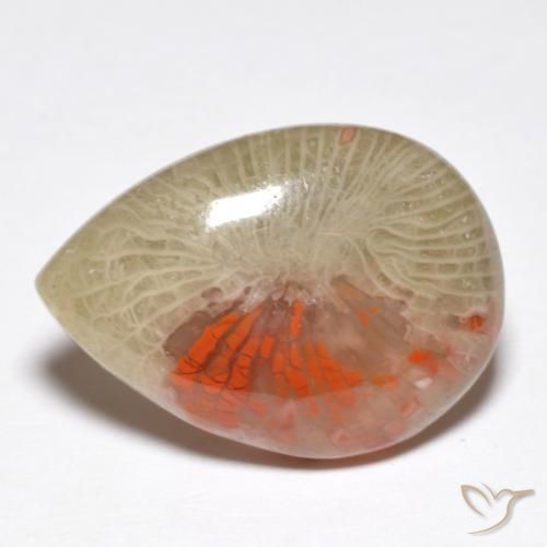 10.46 ct Multicolor Coral Stone, Natural Coral in Pear Cabochon Shape for Sale