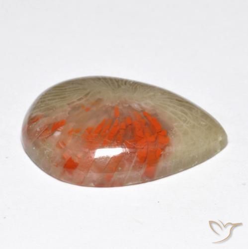 Coral Gemstone in 20 x 15 mm (calibrated) Size for Sale, Coral Stone in Multicolor Color