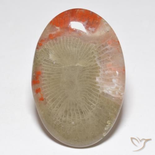 31.32ct Natural Multicolor Coral, Oval, Translucent