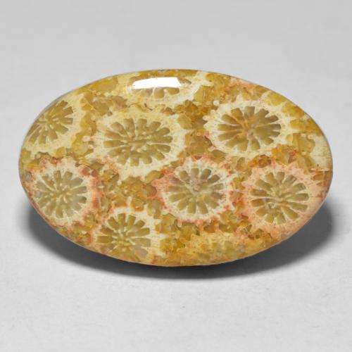 15.10 ct Multicolor Coral Gemstone, Coral Gem in Oval Cabochon Shape for Sale.