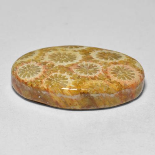 Coral Gemstone in 23.3 x 14.6 mm Size for Sale, Coral Stone in Multicolor Color