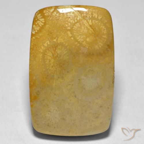 17.79ct Natural Multicolor Coral, Cushion, Opaque, Photo A