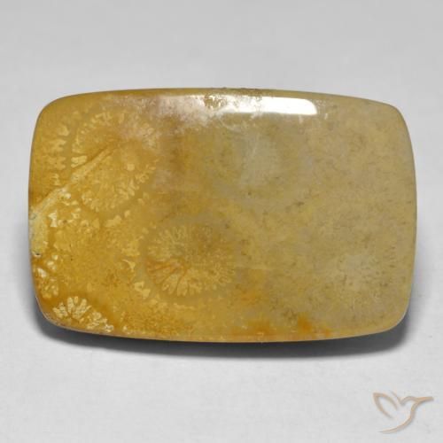 17.79 ct Multicolor Coral Stone, Natural Coral in Cushion Cabochon Shape for Sale