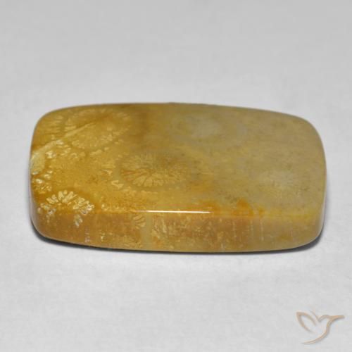 Coral Gemstone in 22.9 x 14.9 mm Size for Sale, Coral Stone in Multicolor Color