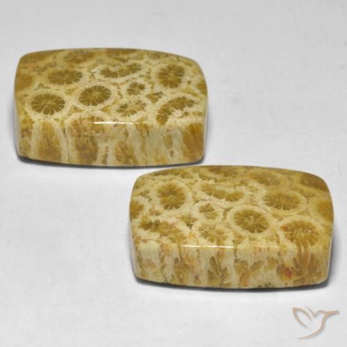 Coral Gemstones in 18 x 13 mm (calibrated) Size for Sale, Coral Stones in Multicolor Color