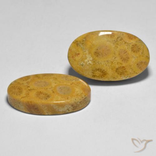 27.44 ctw Multicolor Coral Stones, Natural Coral in Oval Cabochon Shape for Sale