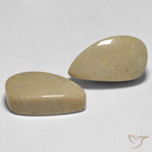 16.75 ctw Multicolor Coral Stones, Natural Coral in Fancy Cabochon Shape for Sale