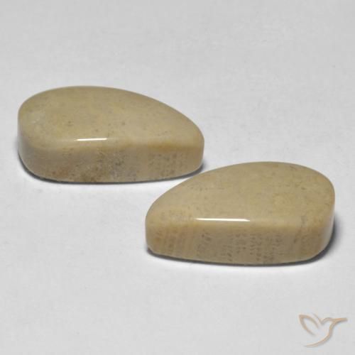 Coral Gemstones in 15 x 10 mm (calibrated) Size for Sale, Coral Stones in Multicolor Color