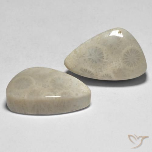21.04 ctw Multicolor Coral Stones, Natural Coral in Fancy Cabochon Shape for Sale
