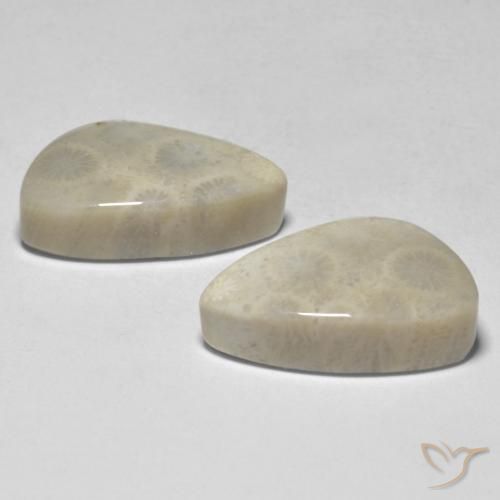 Coral Gemstones in 18.6 x 11.7 mm Size for Sale, Coral Stones in Multicolor Color
