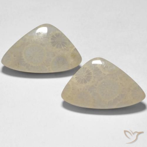 19.10ctw Natural Multicolor Coral, Fancy, Opaque