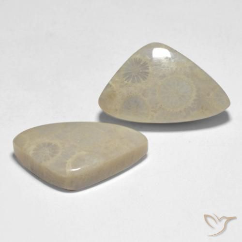 19.10 ctw Multicolor Coral Stones, Natural Coral in Fancy Cabochon Shape for Sale