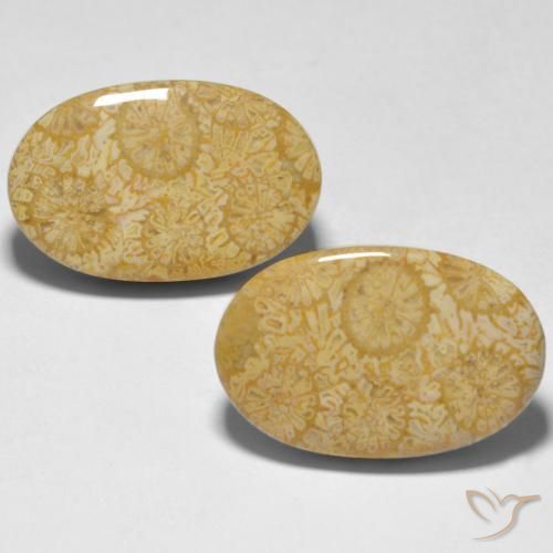 24.74ctw Natural Multicolor Coral, Oval, Opaque