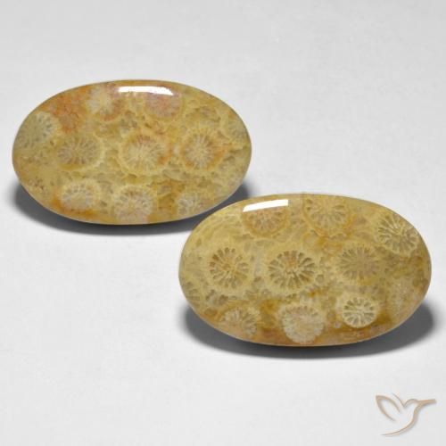 28.98ctw Natural Multicolor Coral, Oval, Opaque