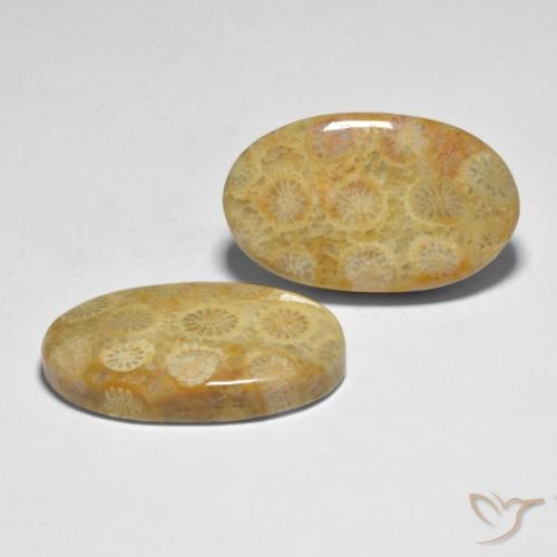 28.98 ctw Multicolor Coral Stones, Natural Coral in Oval Cabochon Shape for Sale