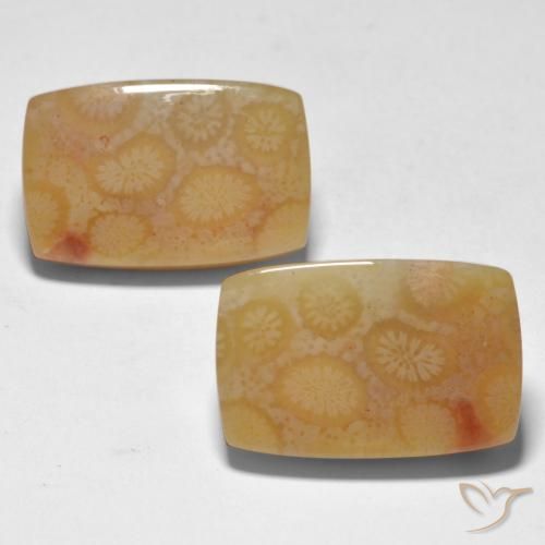23.35 ctw Multicolor Coral Gemstones, Coral Gems in Cushion Cabochon Shape for Sale.