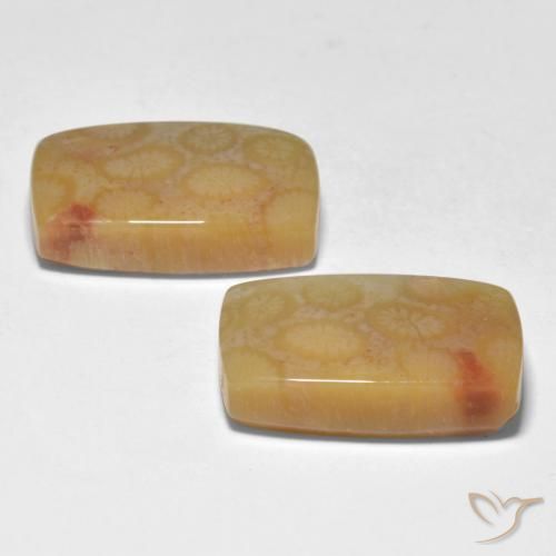 Coral Gemstones in 18.3 x 11.8 mm Size for Sale, Coral Stones in Multicolor Color
