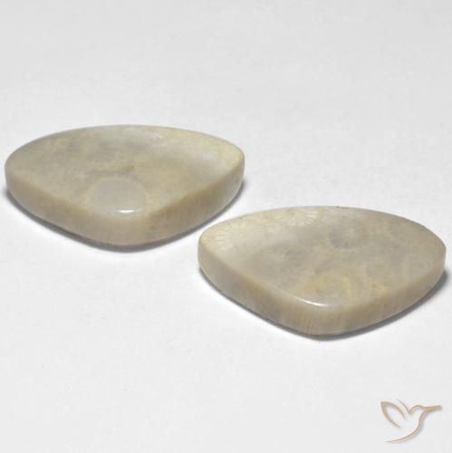 Coral Gemstones in 21 x 14 mm Size for Sale, Coral Stones in Multicolor Color