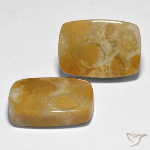 28.12 ctw Multicolor Coral Stones, Natural Coral in Cushion Cabochon Shape for Sale