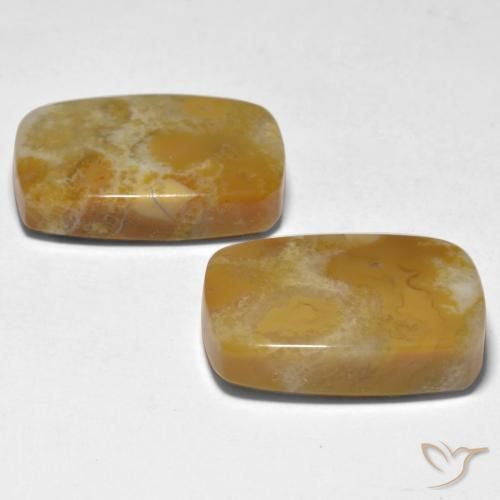 Coral Gemstones in 18.7 x 13.5 mm Size for Sale, Coral Stones in Multicolor Color