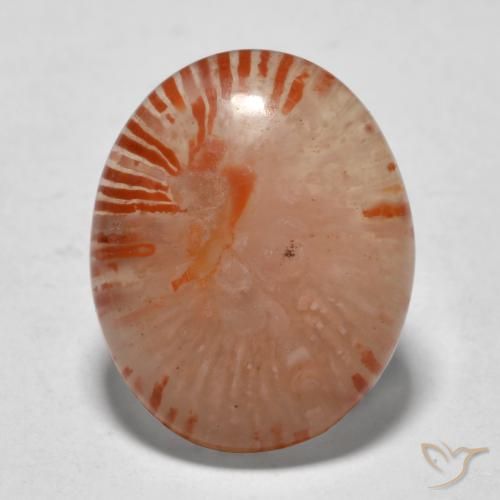 9.94ct Natural Multicolor Coral, Oval, Translucent