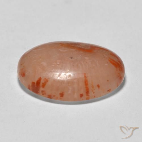 Coral Gemstone in 17.4 x 14.1 mm Size for Sale, Coral Stone in Multicolor Color