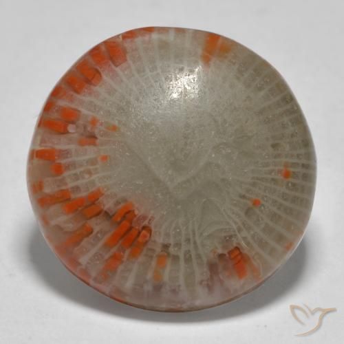 13.11 ct Round Coral, 18.2 mm From Indonesia, Photo A