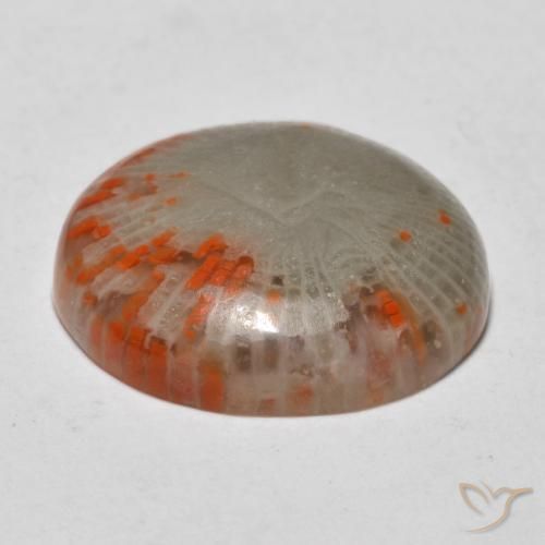 Coral Gemstone in 18 mm (calibrated) Size for Sale, Coral Stone in Multicolor Color