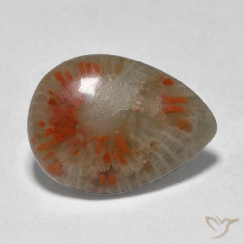 5.31 ct Multicolor Coral Stone, Natural Coral in Pear Cabochon Shape for Sale