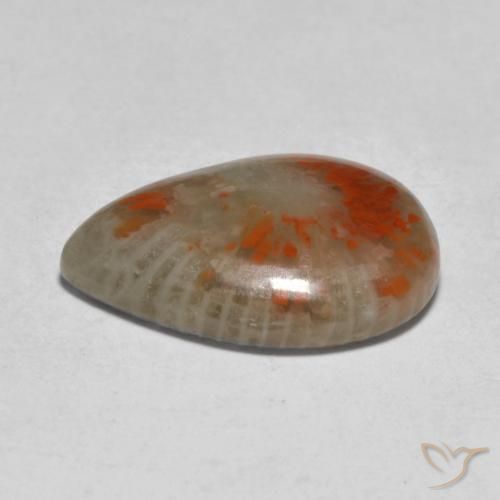 Coral Gemstone in 16 x 12 mm (calibrated) Size for Sale, Coral Stone in Multicolor Color