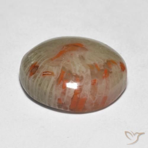 Coral Gemstone in 15 mm (calibrated) Size for Sale, Coral Stone in Multicolor Color