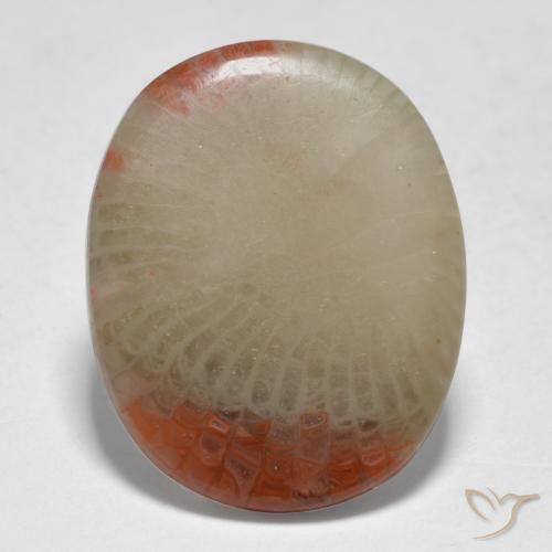5.98ct Natural Multicolor Coral, Oval, Translucent