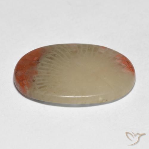 Coral Gemstone in 18.8 x 15 mm Size for Sale, Coral Stone in Multicolor Color