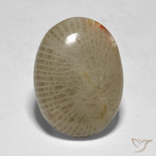 7.50ct Naturale Multicolore Corallo, Ovale, Traslucido, Photo A