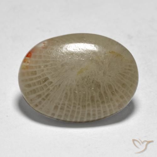 7.50 ct Multicolor Coral Stone, Natural Coral in Oval Cabochon Shape for Sale