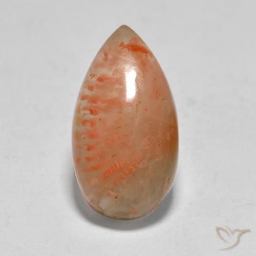 5.79ct Natural Multicolor Coral, Pear Shape, Translucent, Photo A
