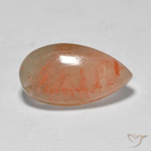 5.79 ct Multicolor Coral Stone, Natural Coral in Pear Cabochon Shape for Sale