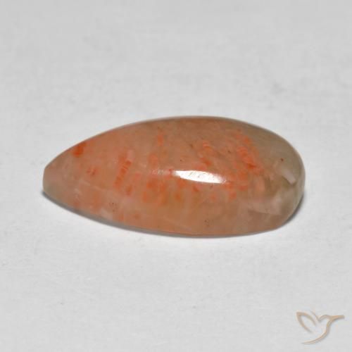 Coral Gemstone in 16.9 x 9.1 mm Size for Sale, Coral Stone in Multicolor Color