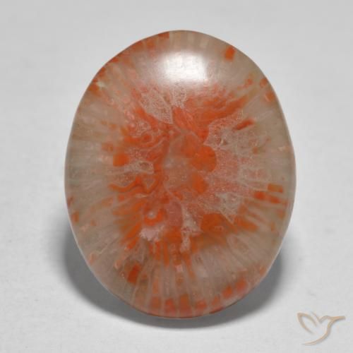 11.21ct Natural Multicolor Coral, Oval, Translucent, Photo A