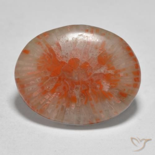11.21 ct Multicolor Coral Stone, Natural Coral in Oval Cabochon Shape for Sale