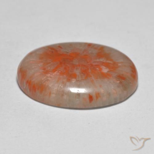 Coral Gemstone in 20 x 15 mm (calibrated) Size for Sale, Coral Stone in Multicolor Color