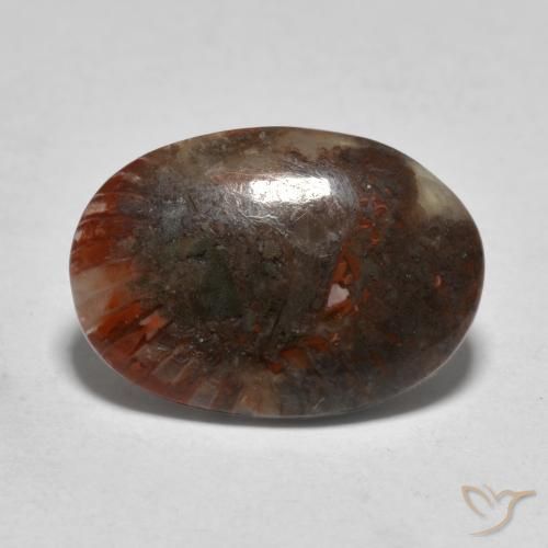 3.57 ct Multicolor Coral Stone, Natural Coral in Oval Cabochon Shape for Sale