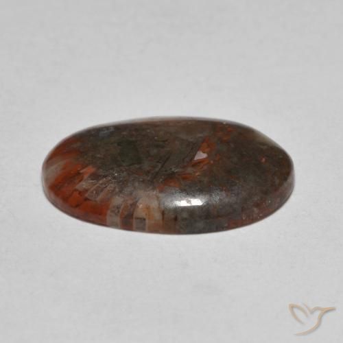 Coral Gemstone in 15.2 x 10.8 mm Size for Sale, Coral Stone in Multicolor Color