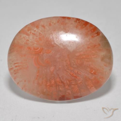 12.52 ct Multicolor Coral Stone, Natural Coral in Oval Cabochon Shape for Sale