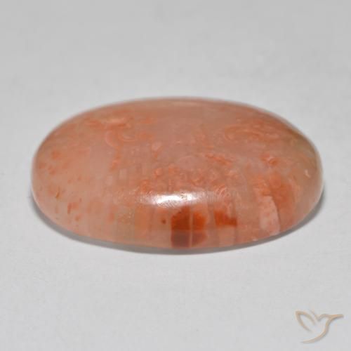 Coral Gemstone in 19.3 x 15.7 mm Size for Sale, Coral Stone in Multicolor Color