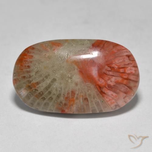 7.97ct Natural Multicolor Coral, Oval, Translucent